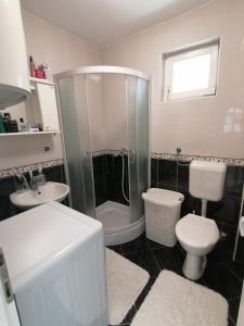 SurčinAirport Apartment的带淋浴、卫生间和盥洗盆的浴室