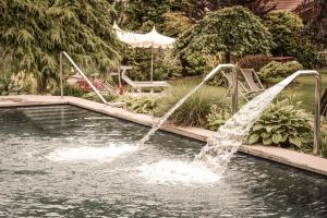 奥蒂塞伊卢纳蒙德舍因酒店的院子里游泳池里的喷泉