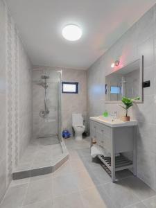 BezdeadVila MOON的带淋浴、盥洗盆和卫生间的浴室