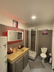 茹瓦尼Le Brumby - Internet Netflix draps serviettes café的一间带水槽、卫生间和淋浴的浴室