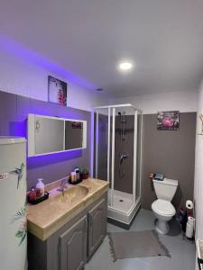 茹瓦尼Le Brumby - Internet Netflix draps serviettes café的一间带水槽、淋浴和卫生间的浴室