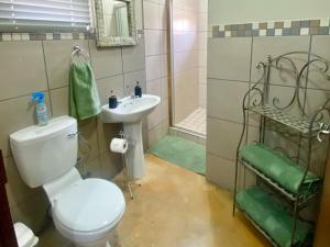 CerillioRuby Granatum的浴室配有卫生间、盥洗盆和淋浴。