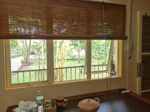 芹苴Mekong Delta Ricefield Lodge的享有庭院景致的厨房窗户