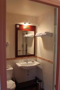 阿穆奥福德布瓦酒店的一间带水槽、卫生间和镜子的浴室