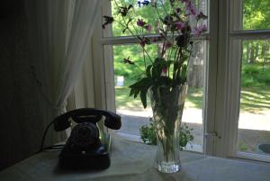 Teijo基拉卡兰卢奇凯拉旅馆的花瓶坐在窗边的桌子上