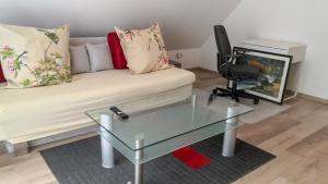 里拉辛根-沃布林根FeWo Aachweg的带沙发和玻璃桌的客厅