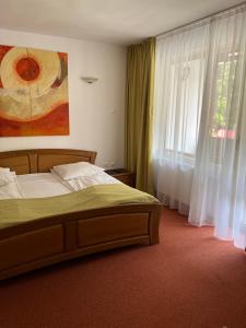 CumpănaHotel-Restaurant Siesta Balea的一间卧室设有一张床和一个窗口