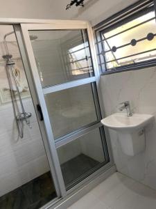 恩多拉Swiss Luxury Apartments的带淋浴和盥洗盆的浴室