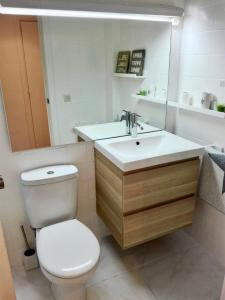 福米加尔APARTAMENTO súper céntrico, con vistas a pistas y Wifi的一间带卫生间、水槽和镜子的浴室