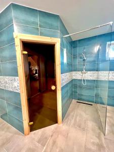 穆列什河畔圣乔治乌Vila Scandinavia的带淋浴的浴室和玻璃门