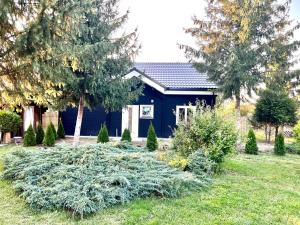 穆列什河畔圣乔治乌Vila Scandinavia的前面有树木的蓝色房子