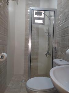 瓦迪穆萨Albasha的带淋浴、卫生间和盥洗盆的浴室