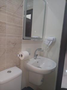 瓦迪穆萨Albasha的一间带水槽、卫生间和镜子的浴室