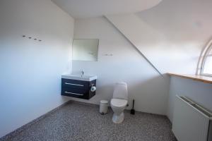 里伯斯图克森里伯度假小屋及公寓酒店的浴室配有白色卫生间和盥洗盆。