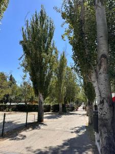 赫塔费Bungalows Alpha的一条绿树成荫的街道,有栅栏和树木