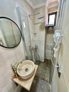 伊斯坦布尔Elegance House Hotel的浴室配有盥洗盆和带镜子的淋浴
