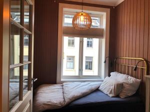 奥斯陆Botanical garden apartments的卧室在窗户前配有一张床