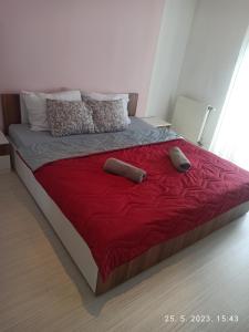 多博伊Apartman Best的一张带两个枕头和红色毯子的床