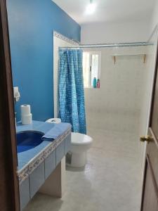 El CarmenCasa Las Animas的蓝色的浴室设有卫生间和淋浴。