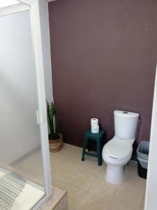 El CarmenCasa Las Animas的一间带卫生间和绿色凳子的浴室