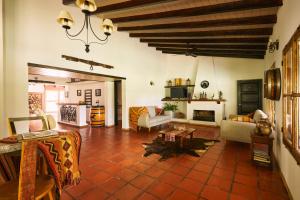 Eugenio Bustos拉西莉亚乡村民宿的带沙发和壁炉的客厅
