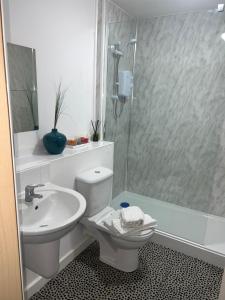 伍尔弗汉普顿Broad gauge way的浴室配有卫生间、盥洗盆和淋浴。