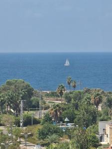 阿卡Apartment in Akko with Sea View的远方有船在海上航行的帆船