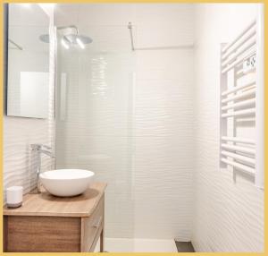 埃维昂莱班Appartement T2 Vue Lac Léman Evian les Bains的一间带水槽和淋浴的浴室