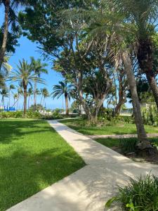 迈阿密Silver Sands Beach Resort的一条穿过棕榈树公园的小路