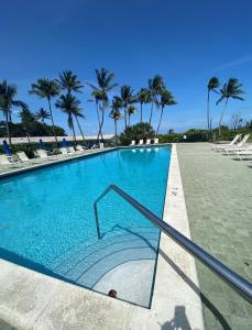 迈阿密Silver Sands Beach Resort的一座棕榈树环绕的游泳池