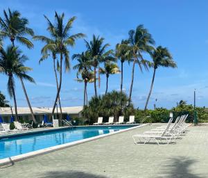 迈阿密Silver Sands Beach Resort的一个带躺椅的游泳池,棕榈树