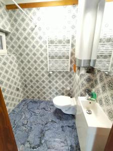 班斯卡-比斯特里察Paracelsus house的一间带卫生间、水槽和镜子的浴室