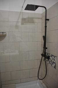 普罗旺斯艾克斯Villa ELISABETH的浴室内配有淋浴和头顶淋浴
