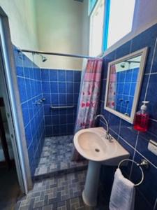 TaxiscoEl Arrecife Martin Pescador的蓝色瓷砖浴室设有水槽和淋浴