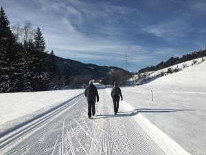 弗拉绍Apart Jasmin的两个人沿着雪覆盖的道路走