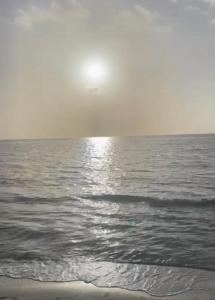 迈阿密Silver Sands Beach Resort的天上阳光下的水体