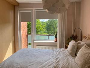 瓦尔米耶拉Apartments in Valmiera的卧室在窗户前配有一张床