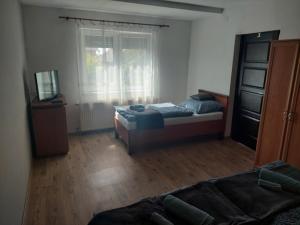巴拉顿菲赖德Jani vendégház的一间卧室配有两张床和电视。