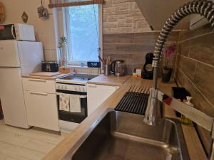 戈尔亚泰托Mountain Home - Galyatető的厨房配有水槽、炉灶和冰箱