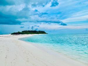 FenfushiOasis Village Fenfushi, Maldives的海洋中的岛屿,有沙滩