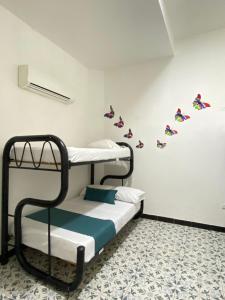 圣玛尔塔Believer Hostel的客房设有两张双层床,墙上挂着蝴蝶。
