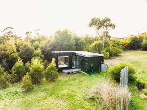 DunalleyTiny House at the Moorings的一片树木繁茂的黑小房子