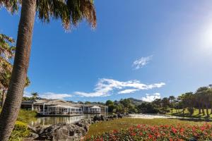 科夫斯港Club Wyndham Coffs Harbour Terraces的享有棕榈树和鲜花度假村的景色
