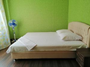 切尔卡瑟Шевченка 241. Центр.的一间卧室配有一张带绿色墙壁的床