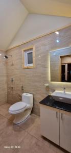 Munroe IslandGreenChromide Homestays的一间带卫生间、水槽和镜子的浴室