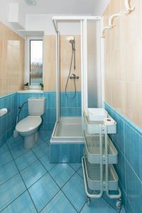 德辛Aqua Hotel的蓝色的浴室设有卫生间和淋浴。