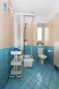 德辛Aqua Hotel的蓝色的浴室设有淋浴和卫生间。