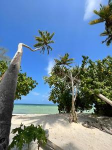 DikoniY Residential Luxury Villas的享有棕榈树海滩和大海的景色