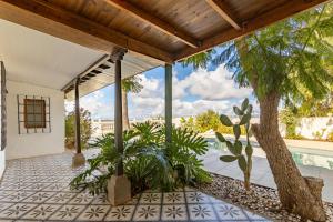 贝加德圣马特奥Lunatika house的一个带棕榈树和游泳池的户外庭院