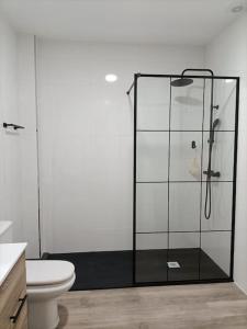欧德鲁佐Pensión Os Mollados的浴室设有玻璃淋浴间和卫生间